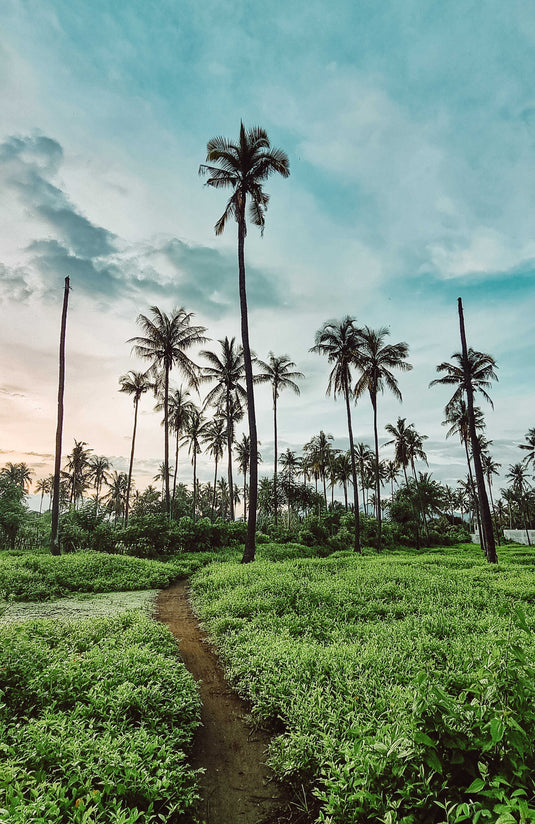 Welcome to The Vagabond Travel 🌍